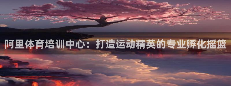 极悦平台用户评价怎么样：阿里体育培训中心：打造运动精