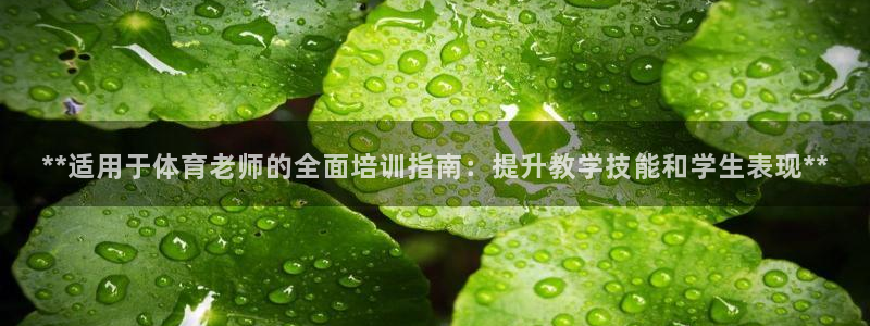 极悦娱乐创始人背景故事简介：**适用于体育老师的全面