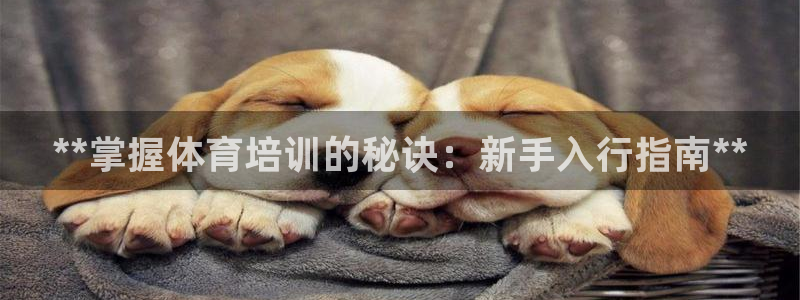 极悦官网注册最新版本更新内容：**掌握体育培训的秘诀