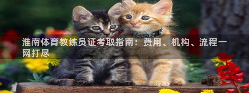 极悦平台平台注册方法与步骤图：淮南体育教练员证考取指
