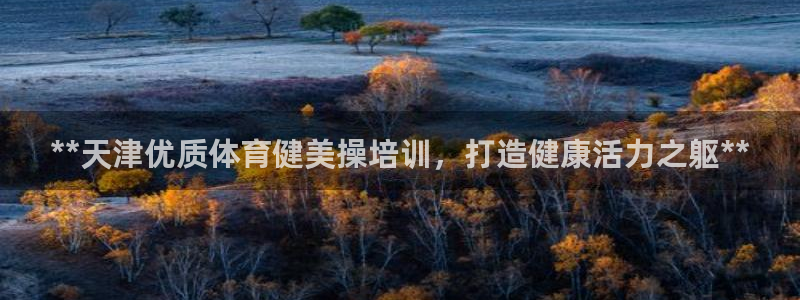 极悦平台注册流程图：**天津优质体育健美操培训，打造