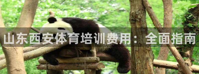 极悦娱乐负责人