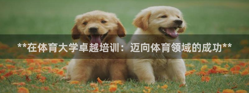 极悦官网登录入口网址：**在体育大学卓越培训：迈向体