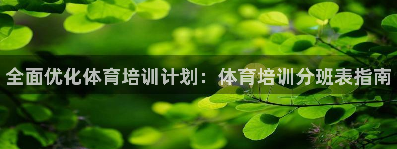 极悦平台是正规平台吗安全吗知乎：全面优化体育培训计划