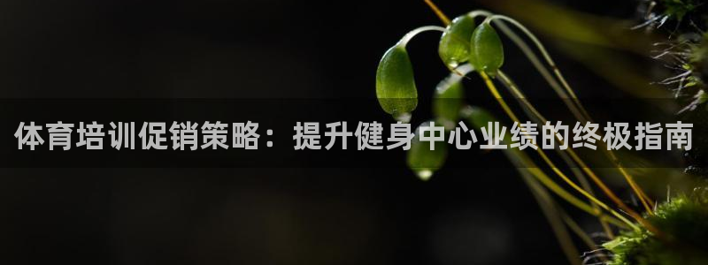 极悦娱乐会被骗吗：体育培训促销策略：提升健身中心业绩