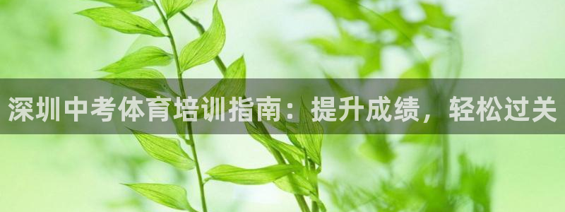 极悦娱乐现在叫什么：深圳中考体育培训指南：提升成绩，轻松过关
