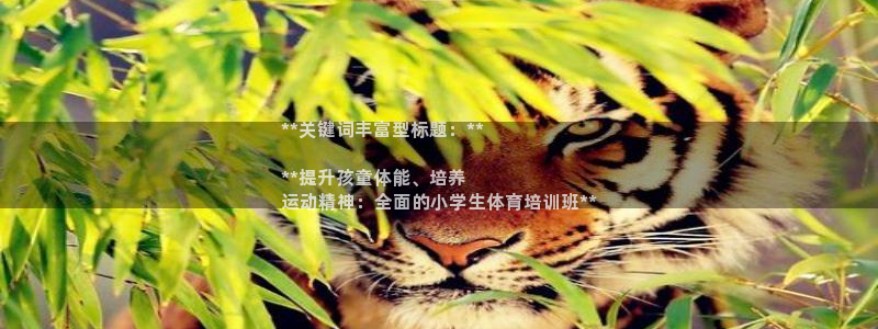 极悦官网首页登录入口网址：**关键词丰富型标题：**

**