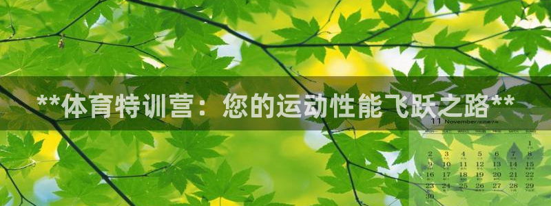 极悦平台股东有哪些