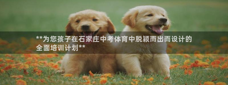 极悦平台注册官网网址：**为您孩子在石家庄中考体育中