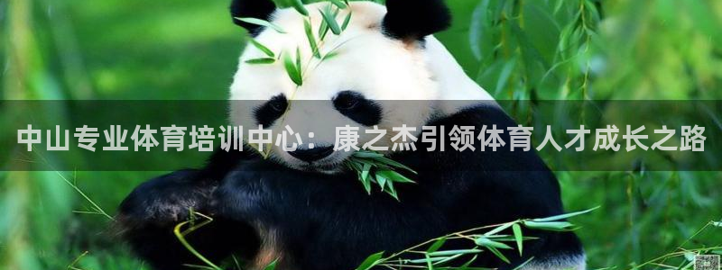 极悦娱乐官网最新版本更新内容下载：中山专业体育培训中