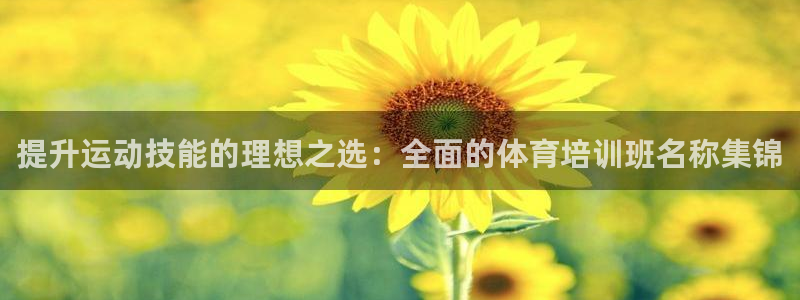 极悦牙膏好吗：提升运动技能的理想之选：全面的体育培训班名称集