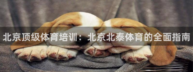 极悦平台注册流程详解：北京顶级体育培训：北京北泰体育