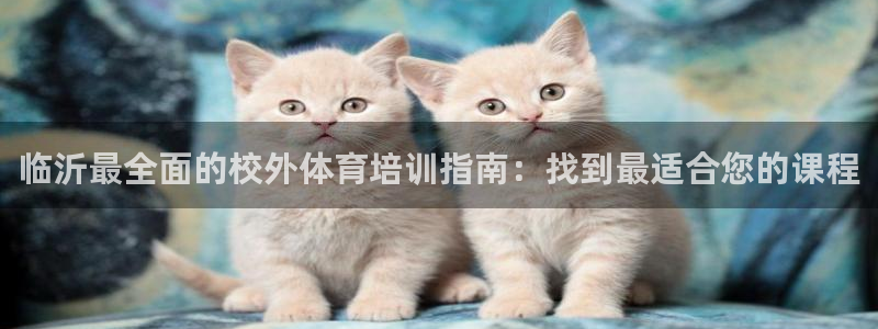 极悦平台官方网址查询：临沂最全面的校外体育培训指南：找到最适