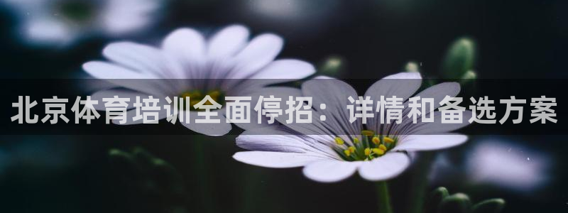 极悦平台股东是谁：北京体育培训全面停招：详情和备选方
