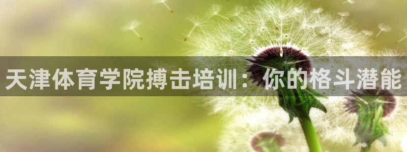 极悦平台注册资金多少亿：天津体育学院搏击培训：你的格