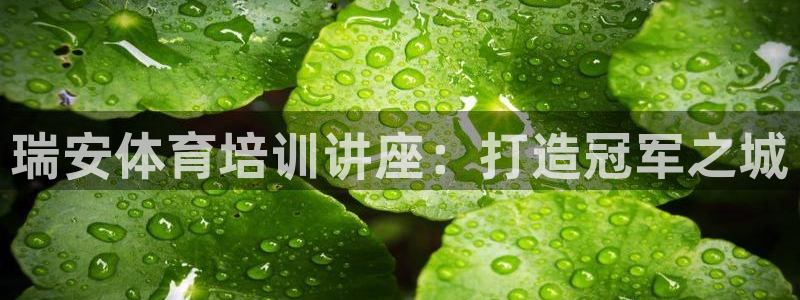 极悦娱乐的创始人背景故事：瑞安体育培训讲座：打造冠军