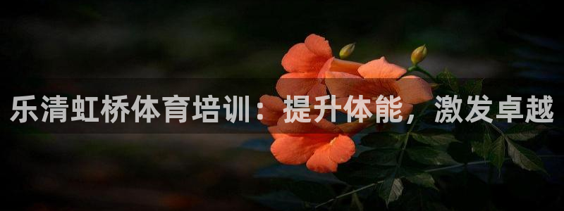 极悦平台和蓝狮平台区别：乐清虹桥体育培训：提升体能，