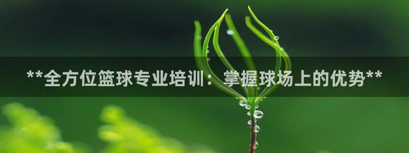 极悦官网首页登录入口：**全方位篮球专业培训：掌握球