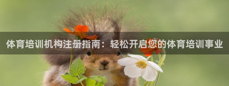 极悦平台是什么公司：体育培训机构注册指南：轻松开启您的体育培