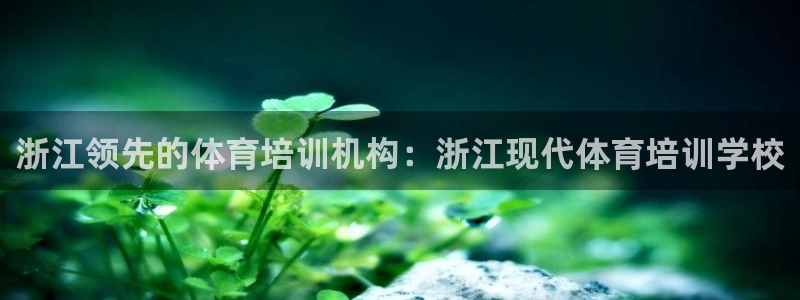 极悦平台登录最新版本更新内容在哪：浙江领先的体育培训
