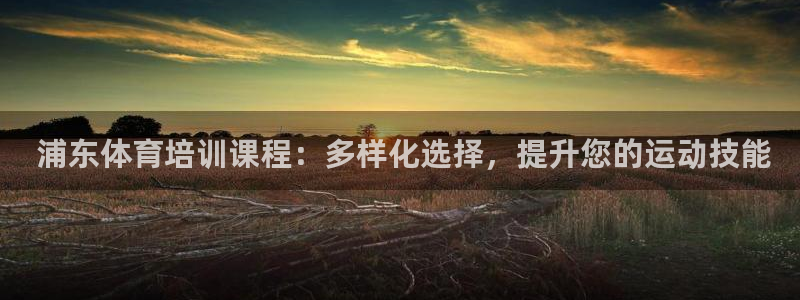 极悦平台有风险吗： 浦东体育培训课程：多样化选择，提