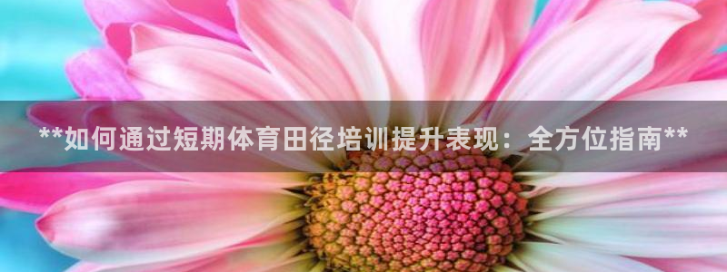 极悦平台注册用户名格式不正确：**如何通过短期体育田