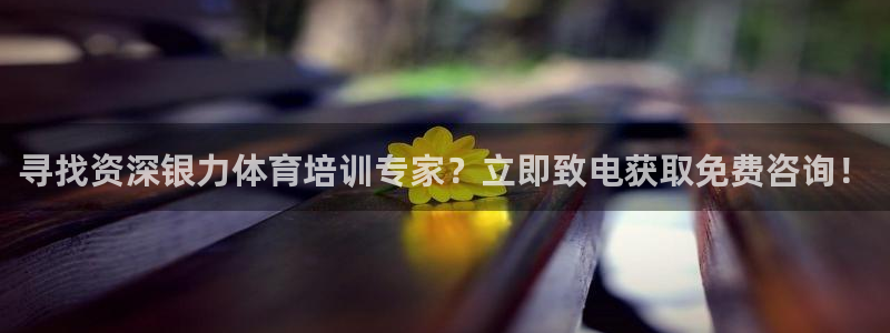 极悦平台官网登录入口下载：寻找资深银力体育培训专家？立即致电