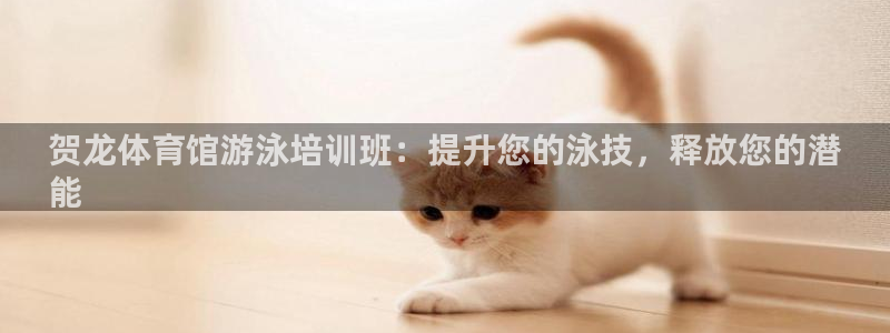 极悦平台客服团队怎么样