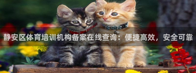 极悦官方网站入口：静安区体育培训机构备案在线查询：便捷高效，