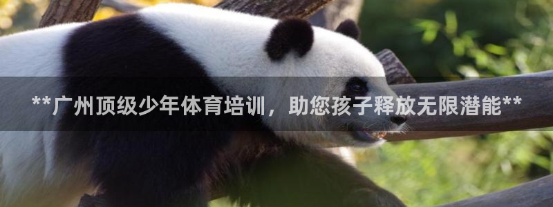 极悦平台官网登录入口网址是什么：**广州顶级少年体育