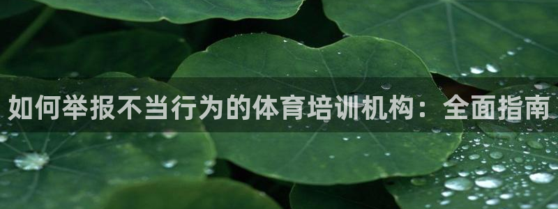 极悦平台app安全吗可靠吗：如何举报不当行为的体育培