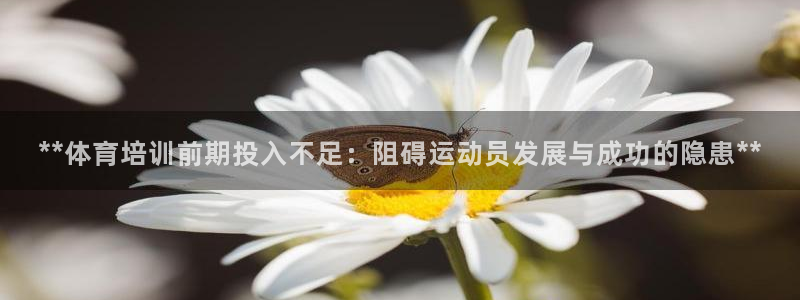 极悦娱乐代理人是谁呀：**体育培训前期投入不足：阻碍