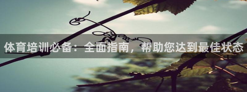 极悦平台注册流程图片：体育培训必备：全面指南，帮助您