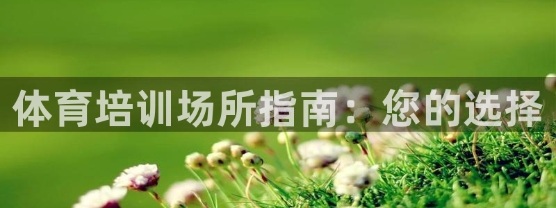 极悦平台官方网址是多少
