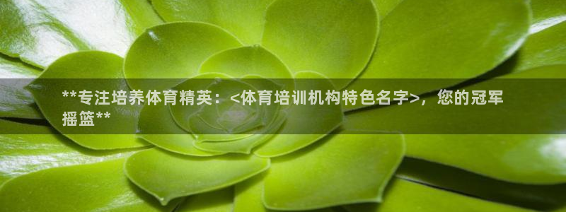 极悦平台下载安装：**专注培养体育精英：<体育培训机