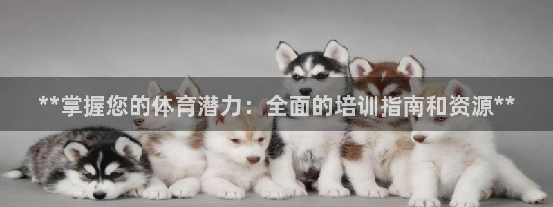 极悦平台app二维码怎么弄的：**掌握您的体育潜力：
