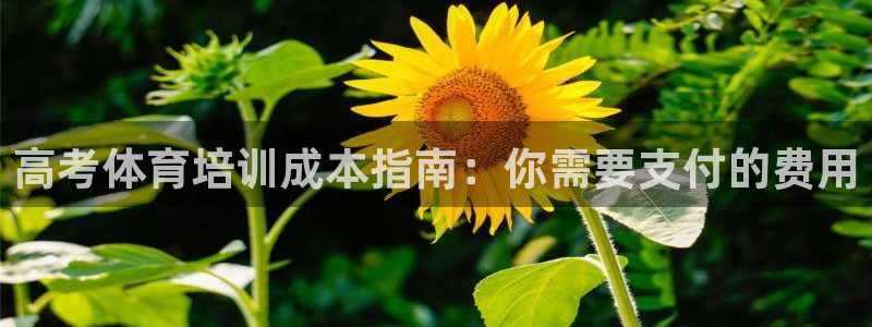极悦平台官方网址是什么：高考体育培训成本指南：你需要