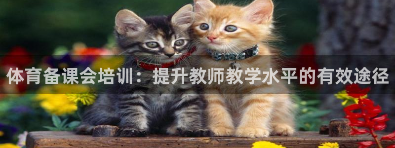 极悦娱乐的最新版本更新内容是什么：体育备课会培训：提