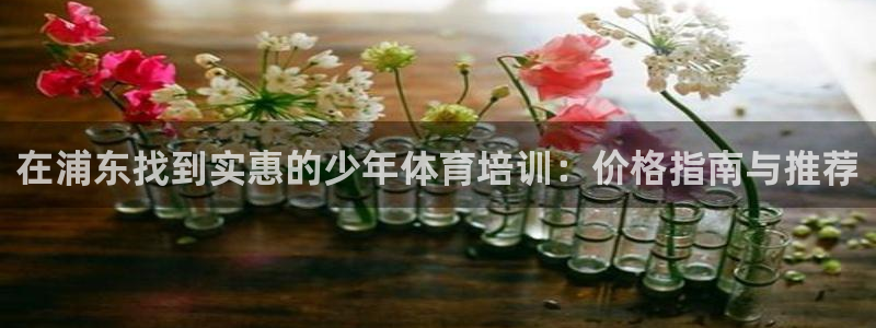 极悦平台注册流程视频：在浦东找到实惠的少年体育培训：
