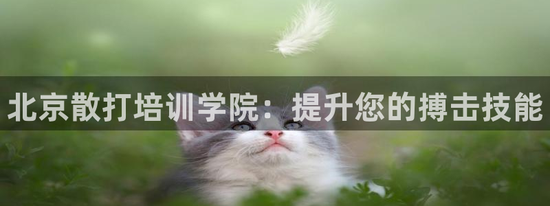 极悦平台是正规平台吗：北京散打培训学院：提升您的搏击