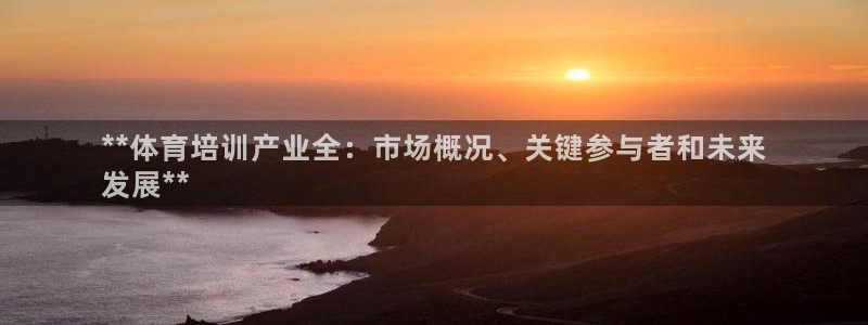 极悦平台登录方式有哪些：**体育培训产业全：市场概况