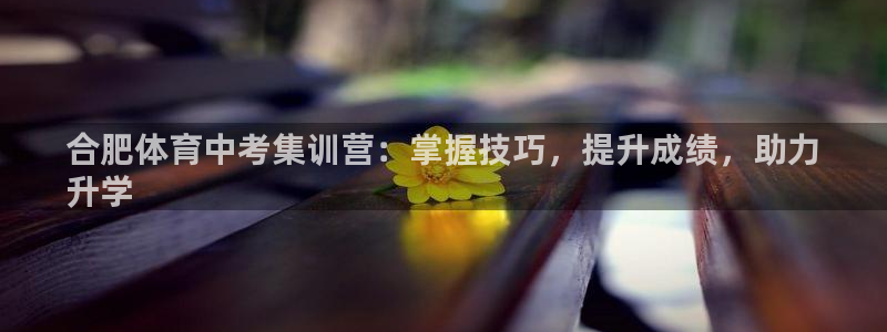 极悦平台登录7.0.2.4手机版下载：合肥体育中考集