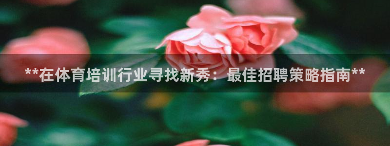 极悦娱乐负责人是谁：**在体育培训行业寻找新秀：最佳