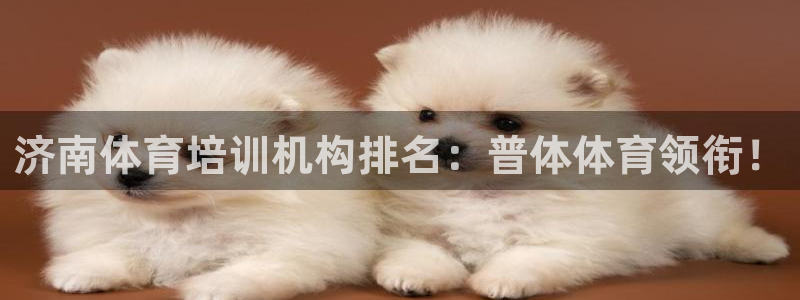 极悦平台注册官网下载：济南体育培训机构排名：普体体育