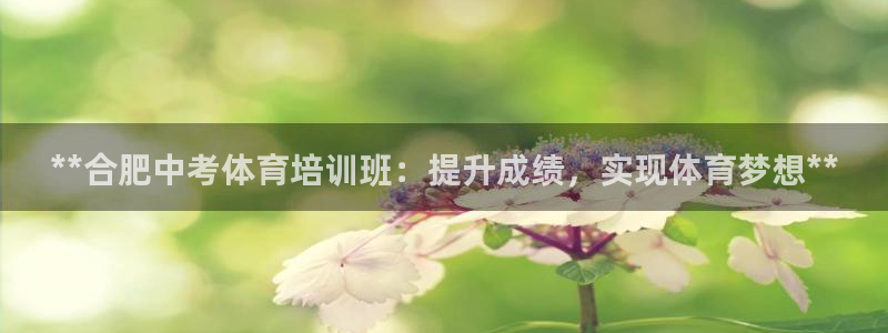极悦平台app二维码怎么弄的：**合肥中考体育培训班
