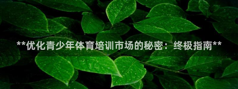 极悦娱乐的创始人背景故事介绍：**优化青少年体育培训