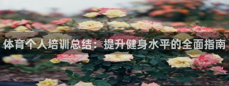 极悦平台是正规平台吗安全吗是真的吗：体育个人培训总结