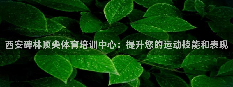 极悦平台注册和登录页面不一样：西安碑林顶尖体育培训中