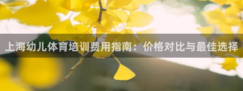 极悦娱乐是资金盘吗：上海幼儿体育培训费用指南：价格对比与最佳