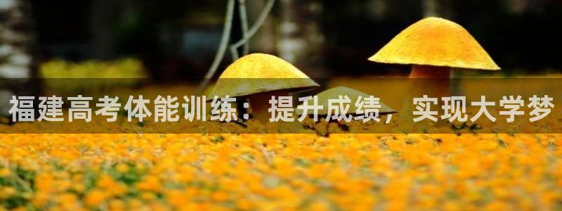 极悦平台非7O777：福建高考体能训练：提升成绩，实现大学梦